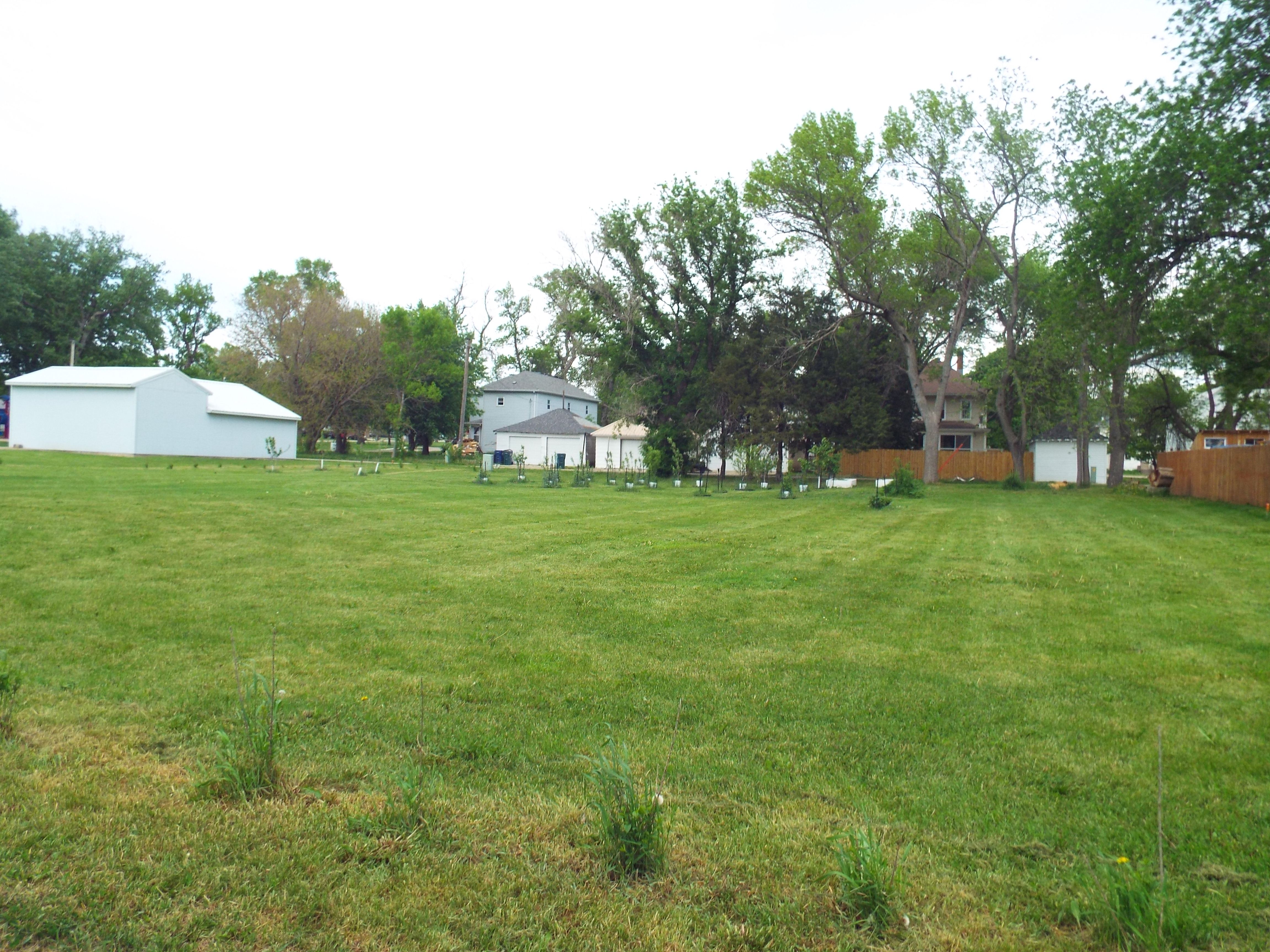 DSCF2996.JPG