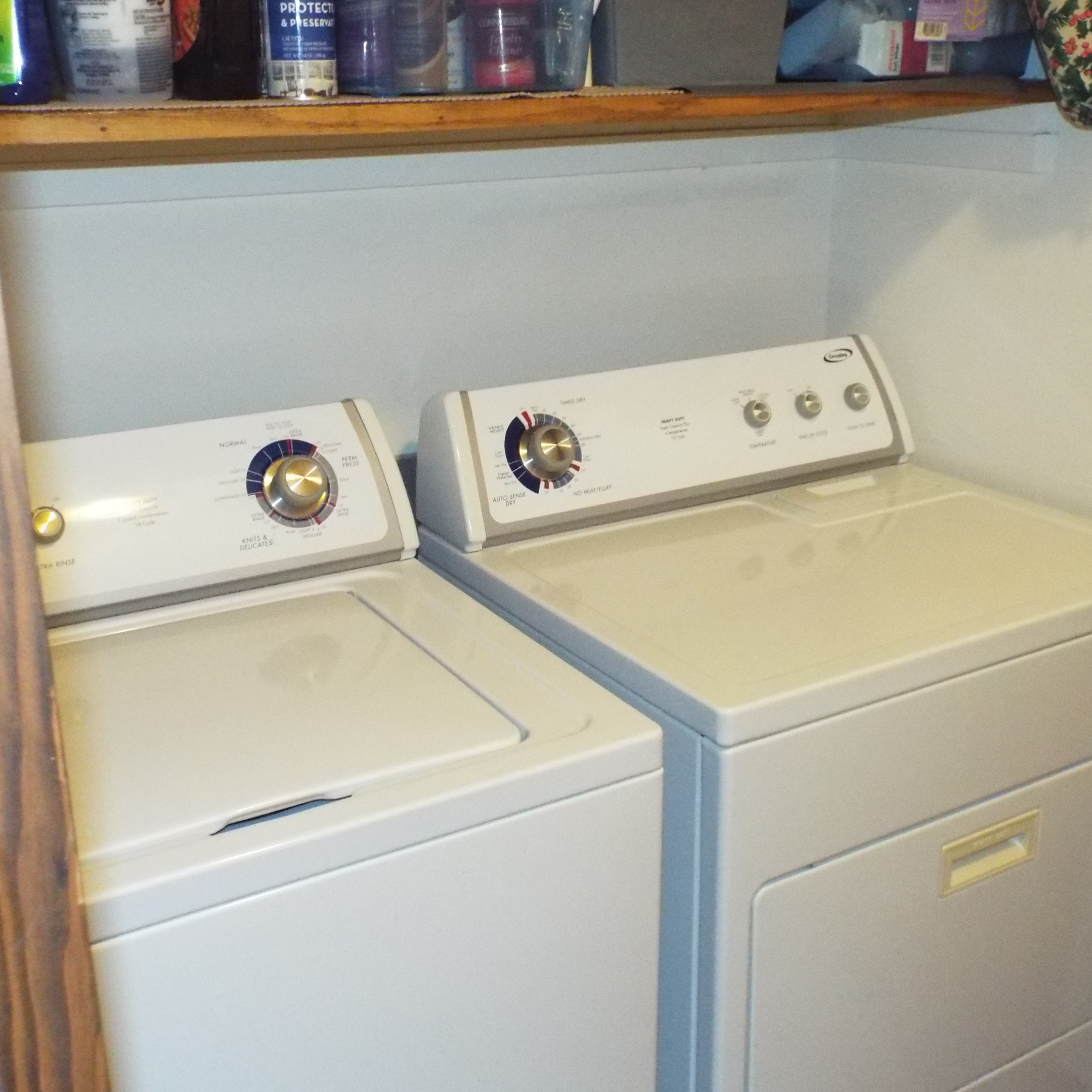 DSCF3504.JPG