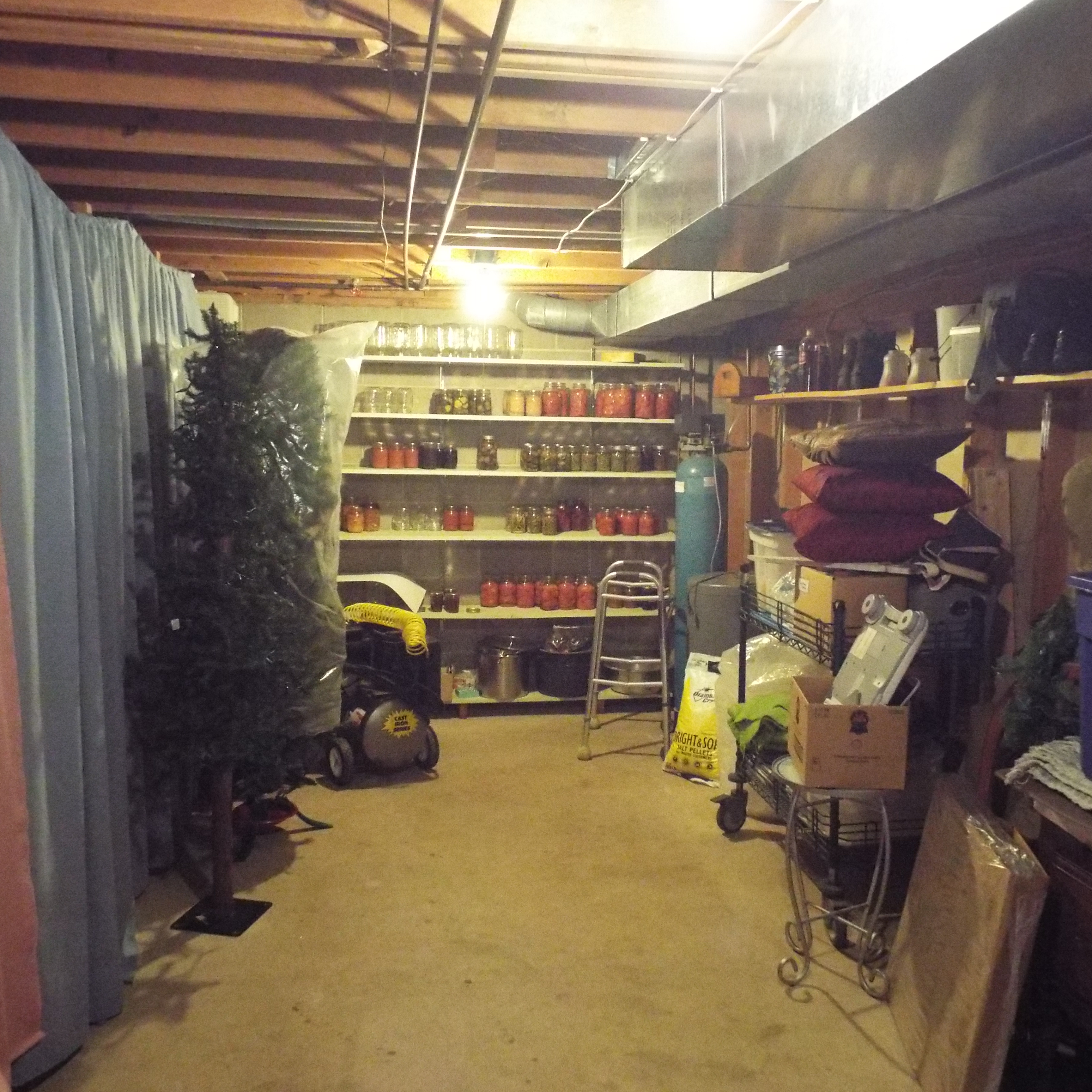 DSCF3520.JPG